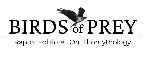 Birds of Prey Project